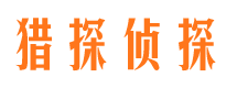 带岭侦探